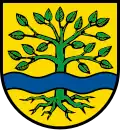 Blason de Ammerbuch