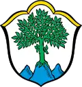 Blason de Aschau im Chiemgau