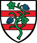 Blason de Bad Hönningen