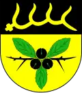 Blason de Kröppelshagen-Fahrendorf