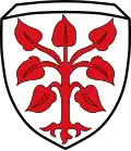 Blason de Rottenbuch