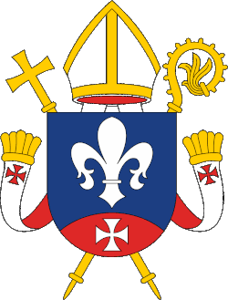 Image illustrative de l’article Diocèse catholique de Reykjavik