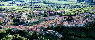 Pignola