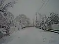 Dabovitsa en hiver