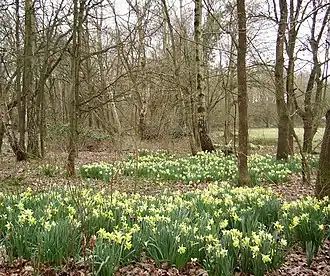 Sandhurst (Berkshire)