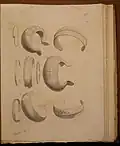 Âge du bronze