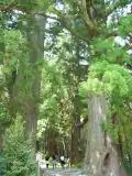 Daimonzaka