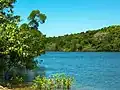 Daintree River.