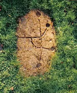 Cupules ou bassins munis de rigoles et de déversoirs.