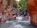 Vue en partie basse des gorges de Daluis taillées en « canyon » dans les pélites rouges du dôme de Barrot.