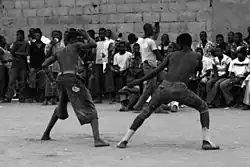 Image illustrative de l’article Dambe