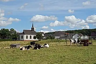 Dankerath