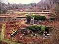 Vestiges des Darkhill Ironworks.