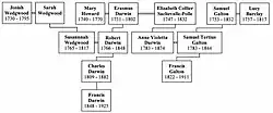 Arbre généalogique des plus célèbres descendants d'Érasme dont Charles Darwin.