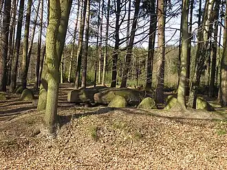 Dassendorf
