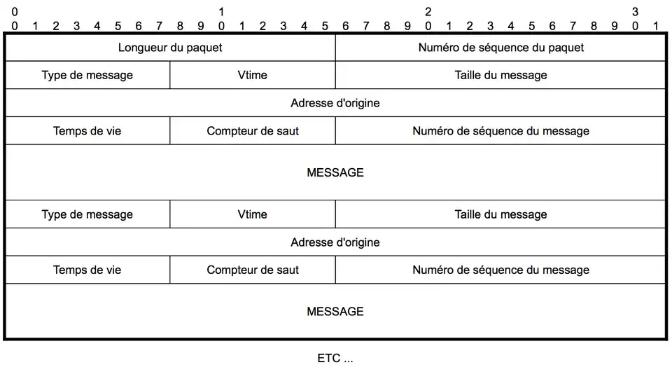 Datagramme d'un paquet OLSR