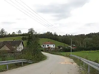 Davidovica