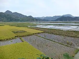Xian de Cangnan