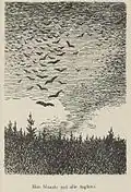De tre prinsesser i Hvittenland, Theodor Kittelsen