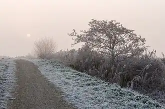 Le soleil essayant de se lever à Langweerderwielen, cette fois-ci au-dessus d'un chemin. Décembre 2016.