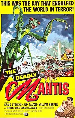 Description de l'image Deadlymantis.JPG.