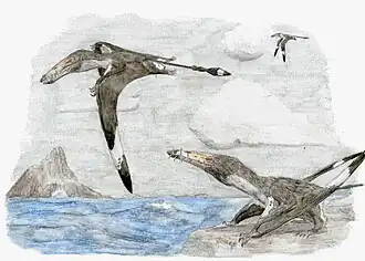 Description de l'image Dearc restoration.jpg.