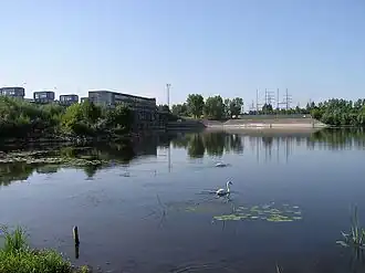 Dębe (Legionowo)