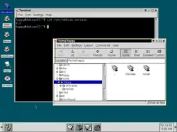 Debian 2.2