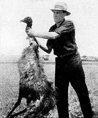 Image illustrative de l’article Guerre des émeus