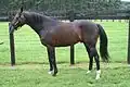 Deep Impact