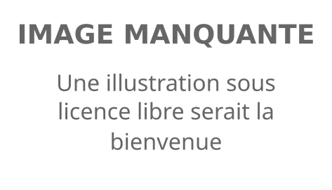 Jacques Le Groignec
