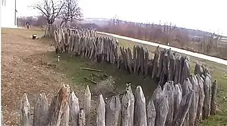 Deligrad