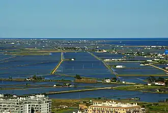 Rizières inondées dans le delta de l'Èbre (2013).