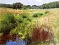 Marshland, Medfield, 1890, collection particulière.