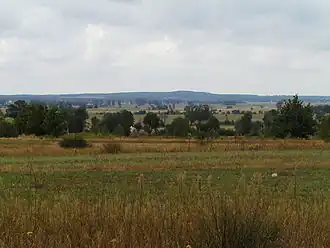 Skotniki (Piotrków)