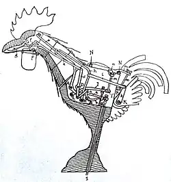 Schéma du coq.