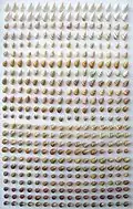 Achatinella spp. (Achatinelloidea)