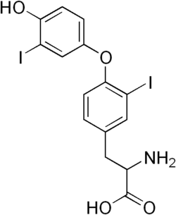 3,3'-diiodothyronine (T2).