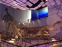 Dinosaures