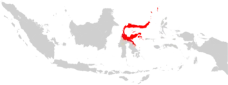 Image illustrative de l’article Diocèse de Manado
