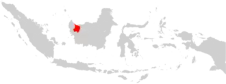 Image illustrative de l’article Diocèse de Sanggau