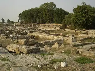 Vue du site archéologique