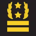 Directeur général