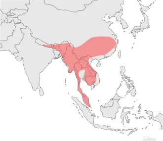Carte montrant la distribution de la Panthère nébuleuse dans les années 1990 sous forme d'une grande zone continue couvrant la partie continentale de l'Asie du sud-est. Cette zone s'étendent à l'ouest jusqu'au sud-est du Népal, à l'est jusque près de Shanghai et au sud jusqu'à englober la péninsule malaise.