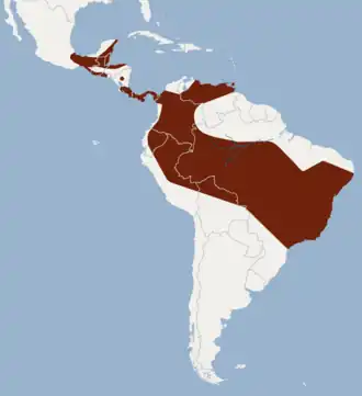 Description de l'image Distribution of Lonchorhina aurita.png.