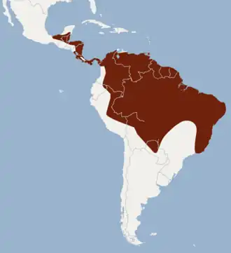 Description de l'image Distribution of Lophostoma brasiliense.png.