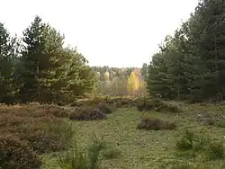 Couleurs d'automne.