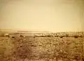 Pentes du Jebel El Khaoui vers 1880