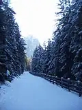 Cortina d'Ampezzo