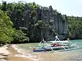 Un banka dans le Parc national de la rivière souterraine de Puerto Princesa.